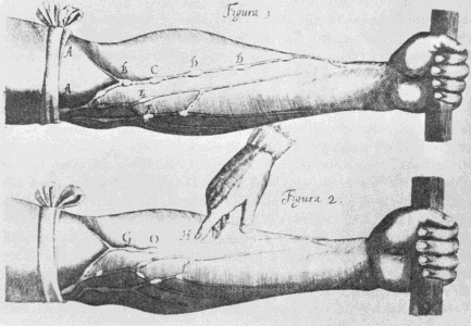 Предвечная Длань показывает Вильяму Гарвею устройство ситемы кровообращения (1628)